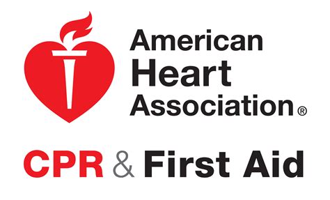 American academy of cpr and first aid - Heartsaver First Aid CPR AED is geared towards anyone with little or no medical training who needs a course completion card for their job, regulatory (e.g., …